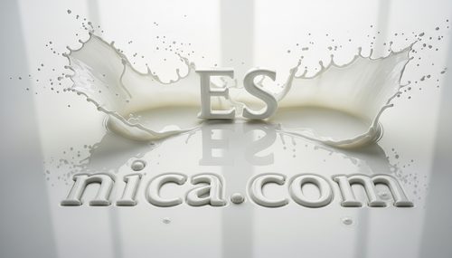 Diseño Oficial 4