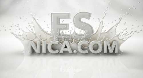 Diseño Oficial 14