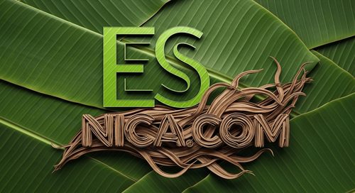 Diseño Oficial 27