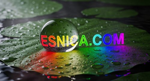 Diseño Oficial 31