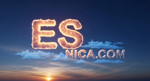Diseño Oficial 42