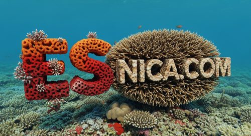 Diseño Oficial 49