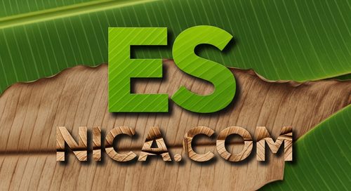 Diseño Oficial 71