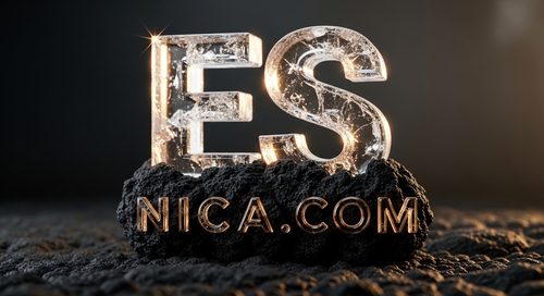Diseño Oficial 77