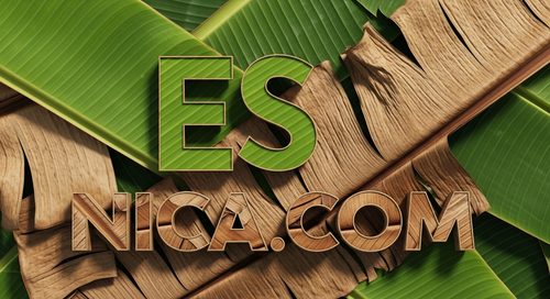 Diseño Oficial 87