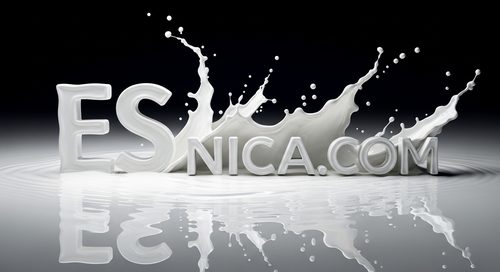 Diseño Oficial 107