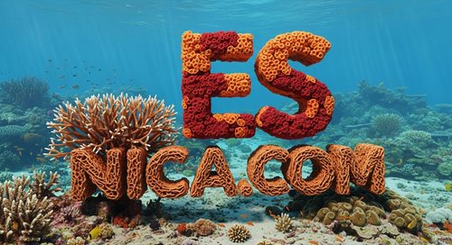 Diseño Oficial 118