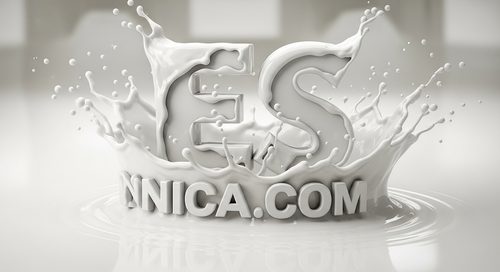 Diseño Oficial 134