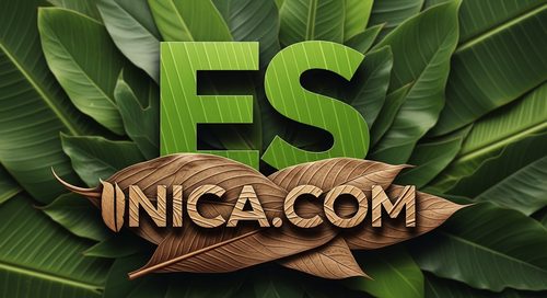 Diseño Oficial 146